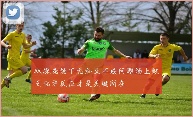 双探花场下无私交不成问题场上缺乏化学反应才是关键所在