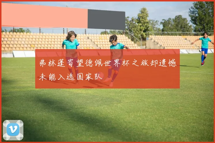 弗林蓬寄望德佩世界杯之旅却遗憾未能入选国家队