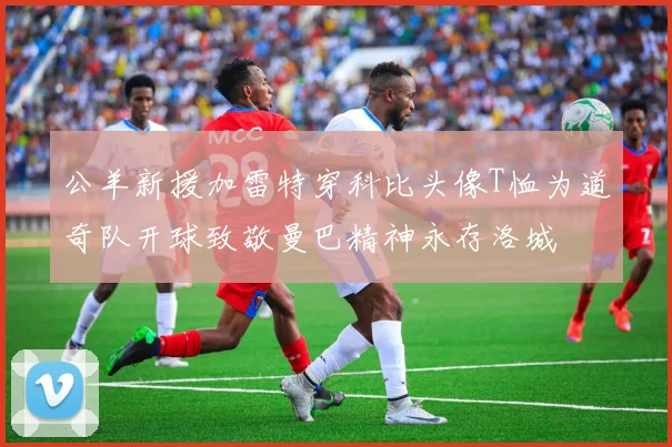公羊新援加雷特穿科比头像T恤为道奇队开球致敬曼巴精神永存洛城